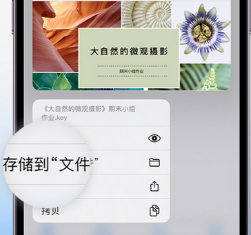 潮州apple维修中心分享iPhone文件应用中存储和找到下载文件