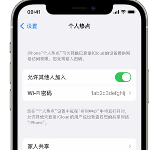 潮州apple服务站点分享iPhone上个人热点丢失了怎么办 