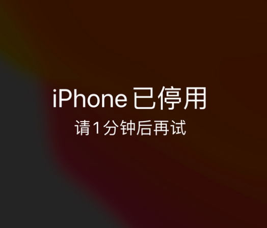 潮州苹果手机维修分享:iPhone 显示“不可用”或“已停用”怎么办？还能保留数据吗？ 