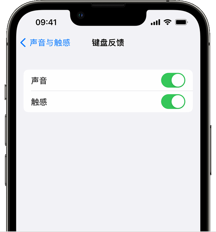 潮州苹果14维修店分享如何在 iPhone 14 机型中使用触感键盘 