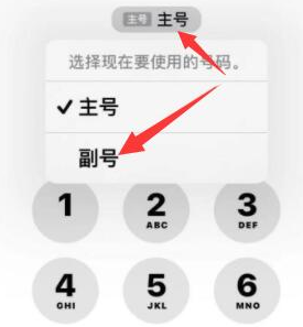 潮州苹果14维修店分享iPhone 14 Pro Max使用副卡打电话的方法 