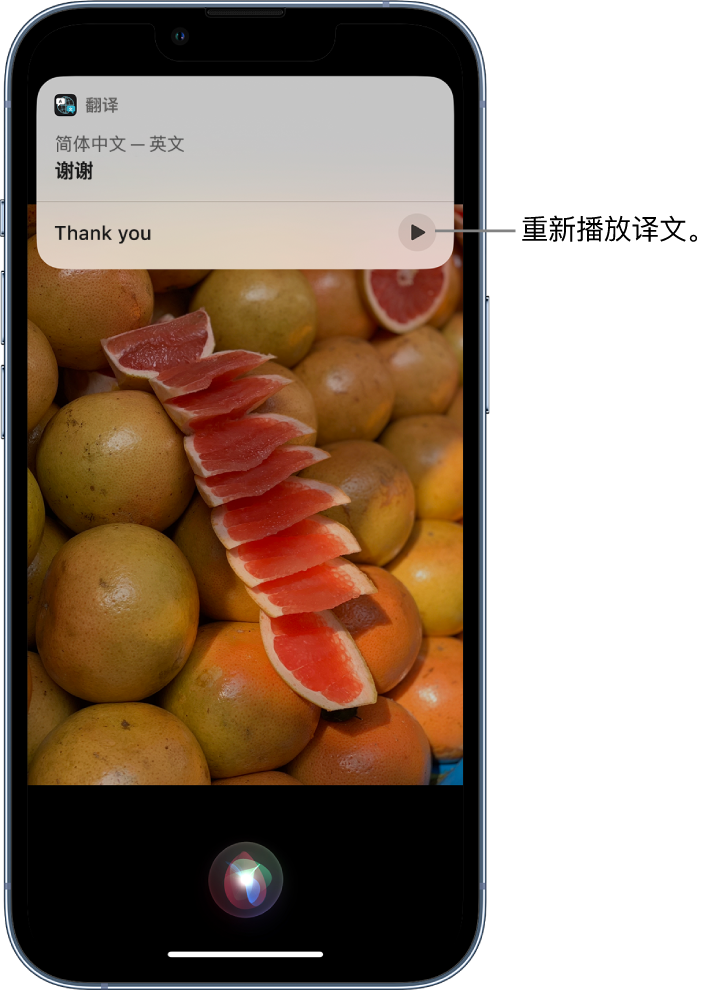 潮州苹果14维修分享 iPhone 14 机型中使用 Siri：了解 Siri 能帮你做什么 