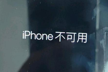 潮州苹果服务网点分享锁屏界面显示“iPhone 不可用”如何解决 