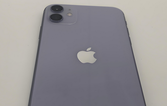 潮州苹果11系统维修分享iPhone11手机系统崩溃无法开机如何解决 